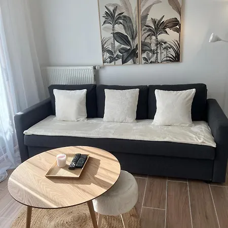 L'ecrin Du Parc By Gaia - Terrasse Et Parc En Centre Ville, Proche Eurexpo - Groupama - Ldlc Arena - Aeroport Appartement *